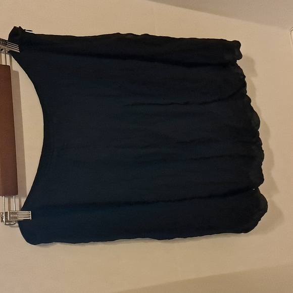 Worthington Women Pleated Silk Skirt Size 16 Fairiegoth Sheer Fairy Preowned - Picture 1 of 8